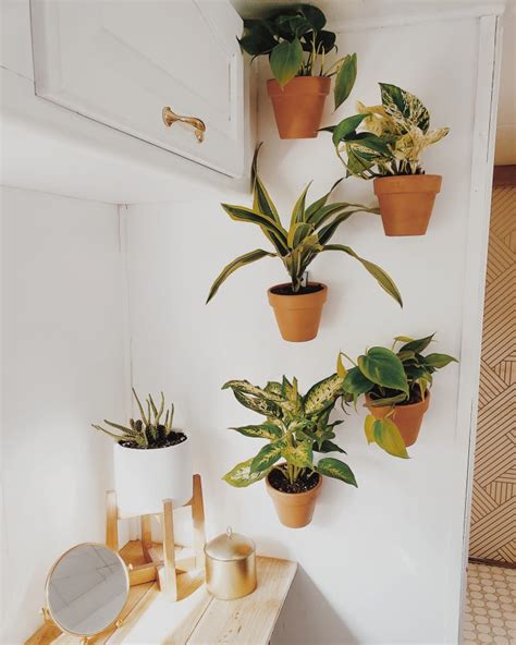 10 New And Brilliant Ways To Decorate With Plants Apartment Therapy