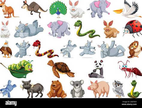 Set Of Wild Animal Stock Vector Image And Art Alamy