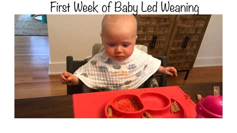 First Week Of Baby Led Weaning At 6 Months Old Part 1 Youtube