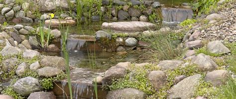 Zum einen gewinnen sie gefälle, indem sie den wasserspiegel des teichs zum beispiel 20 zentimeter unterhalb der bodenoberfläche einplanen. Bachlauf im Garten anlegen / selber bauen | Anleitung mit ...