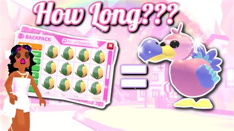 How Long Will It Take To Hatch A Legendary Dodo Bird In Adopt Me Video