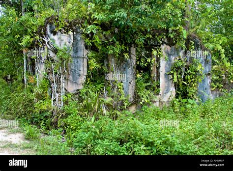Japanese Wwii War Relic Concrete Building Ruins Peleliu Palau Stock
