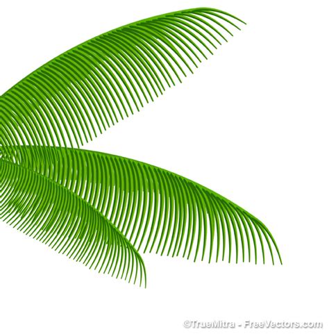 Free Palm Leaf Vector Png Download Free Palm Leaf Vector Png Png