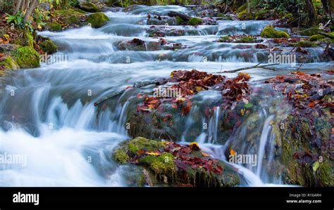 Awesome Stream Moss Water Plivice National Park Stock Photo Alamy