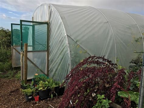 Polytunnel Buyers Guide Direct Polytunnels