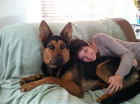 1 Year Old German Shepherd Size | Gsd, Cute little animals ...
