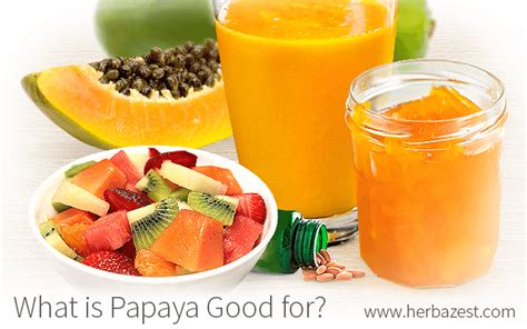 What Is Papaya Good For Herbazest