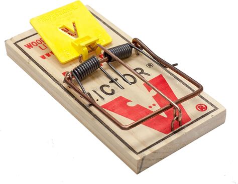 Victor 12 Easy Set Rat Traps Rat Snap Trap Quick Trapping