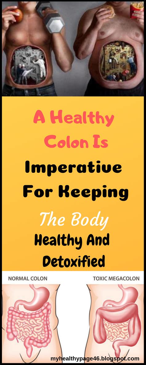 A Healthy Colon Is Imperative For Keeping The Body Healthy And