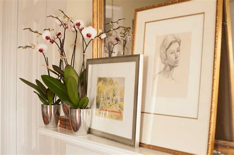 Maybe you would like to learn more about one of these? How to Care for Phalaenopsis Orchids After They Bloom