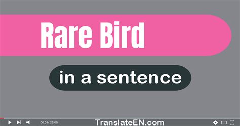 Use Rare Bird In A Sentence