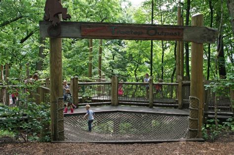 In the core, the center of their bodies, they have a hump which stores water. Twenty Fun Things You Can Do At John Ball Zoo - grkids.com