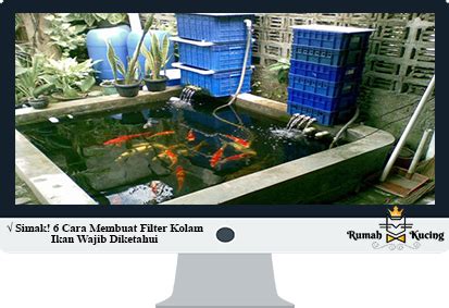 Panduan cara membuat filter kolam ikan lengkap. √ Simak! 6 Cara Membuat Filter Kolam Ikan Wajib Diketahui