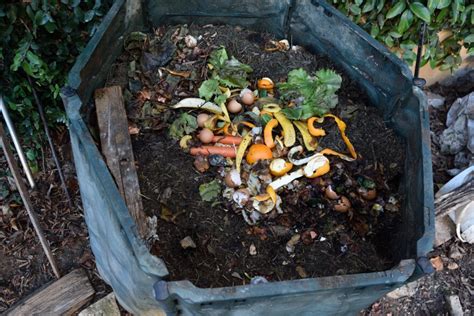 Composting 101 What You Need To Know About Vermonts Food Scrap Ban