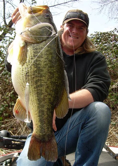 Luckily, adding such a feature is little more than an afternoon project. Whats New with Alabama Rigs? — Tactical Bassin' - Bass ...