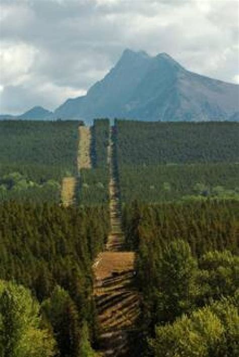 A boundary is resolutely fixed; U.S. mulls Canadian border fence | CBC News