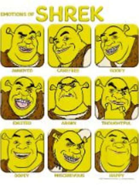 Shrek Emotions Of Shrek Box Up Png Etsy