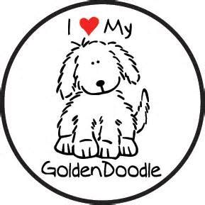 The answer simply lies with the sheer variety of the colors of the. Goldendoodle Drawing at GetDrawings | Free download
