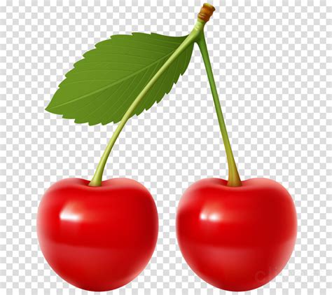 Download Cherry Png Clipart Cherry Pie Sour Cherry Cherries