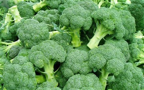 Compound In Broccoli Could Help Reduce Type 2 Diabetes
