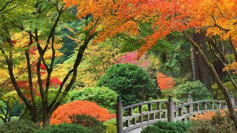 Japanese Gardens Wallpapers Wallpaper Cave