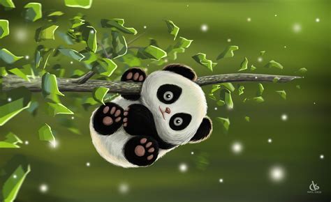 Download Cute Animal Panda Hd Wallpaper By Amol Shede