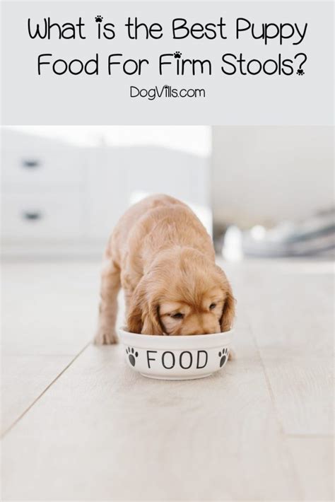 Where is manhood in these days. How to Choose the Best Puppy Food For Firm Stools - http ...