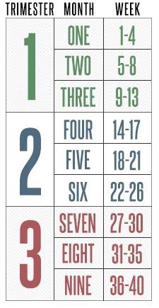 We did not find results for: 24 weeks pregnant? how many months am i now - BabyCenter