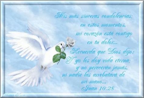 Estas hermosas palabras de amor para tu esposo son perfectas para reactivar esa chispa de ternura y emoción que a veces parece oculta, pero que está ahí presente. Oración para mi esposo fallecido
