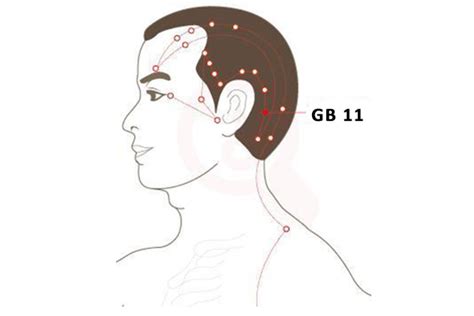 Gb 11 Acupuncture Pointtouqiaoyin Locationbenefit Perfect Magazine