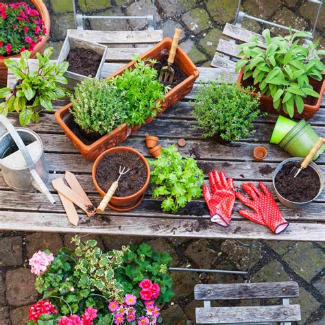9 Best Places to Buy Plants Online—and Save