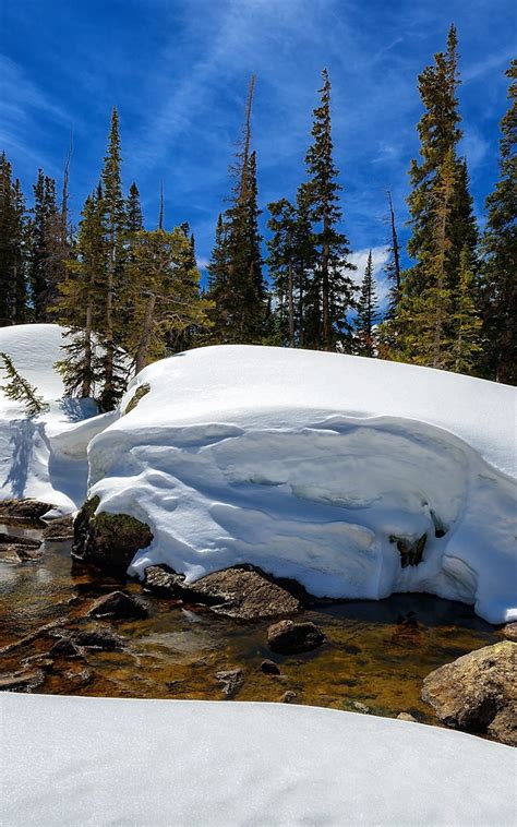 Free Download Park Colorado Winter Trees Mountains Landscape F