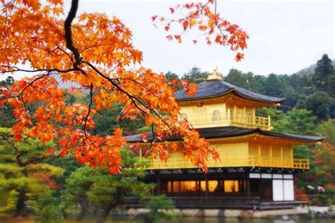 Tổng lsq nhật bản tại tp.hcm. Chùa Vàng Kinkakuji | Kyoto, Du lịch, Nhật bản