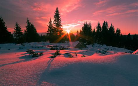 Winter Sunset Hd Wallpaper Background Image 1920x1200