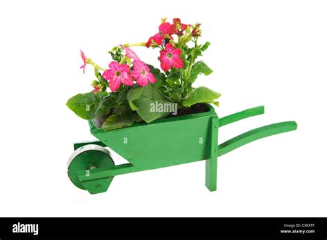 Green Wooden Wheelbarrow With Garden Plants Isolated Over White Stock