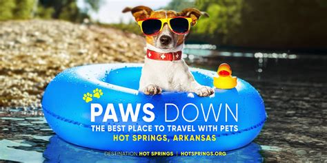 Paws Down the Best Place to Travel with Pets - Hot Springs, Arkansas