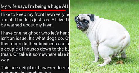 Man Asks If Hes The A Hole For Throwing Dog Poop In His Inconsiderate