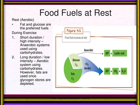 Fundamentally—if all three nutrients are abundant in the diet—carbohydrates and fats will be used primarily for energy while proteins provide the raw materials for making. PPT - Chapter 4 PowerPoint Presentation, free download - ID:1773817