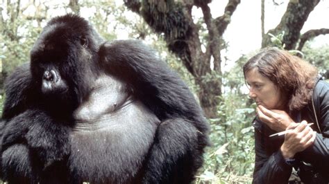 Dian Fossey Profile Presenters Eden Channel Dian Fossey Gorilla