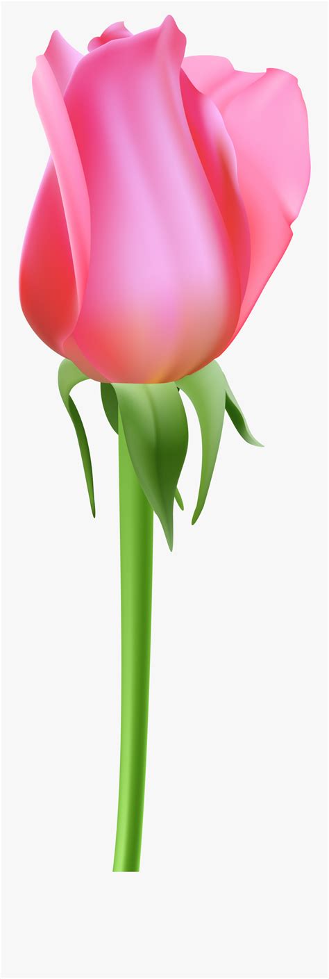 Pink Rose Bud Clipart Free Transparent Clipart Clipartkey