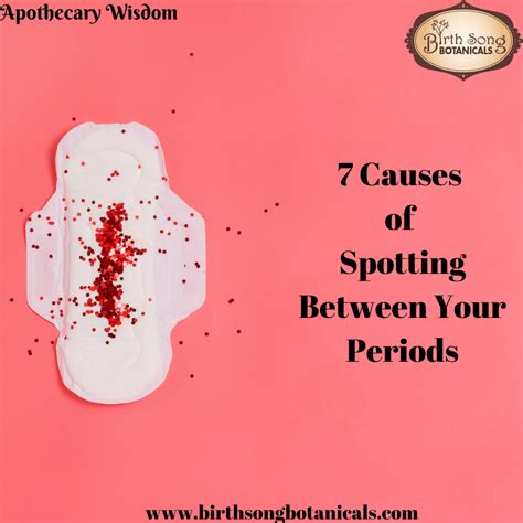 7 Causes Of Spotting Between Your Periods Birth Song Botanicals Co