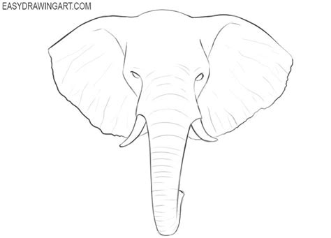 How To Draw An Elephant Head Easy Drawing Art Elephant Painting