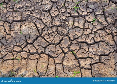Drought Land Barren Earth Dry Cracked Earth Background Cracked Mud
