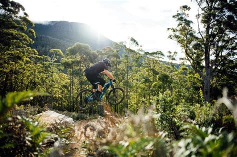 Trails In Our Own Backyard Hobart Australian Mountain Bike The