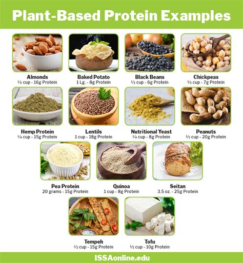 plant based protein exploring options beyond chicken issa