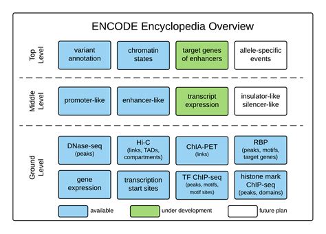 ENCODE Encyclopedia, Version 3 (Archived): Overview - ENCODE