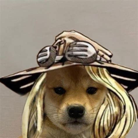 Dog With Hat Jojo Gyro Jojo Bizarre Jojo Anime Jojo Memes