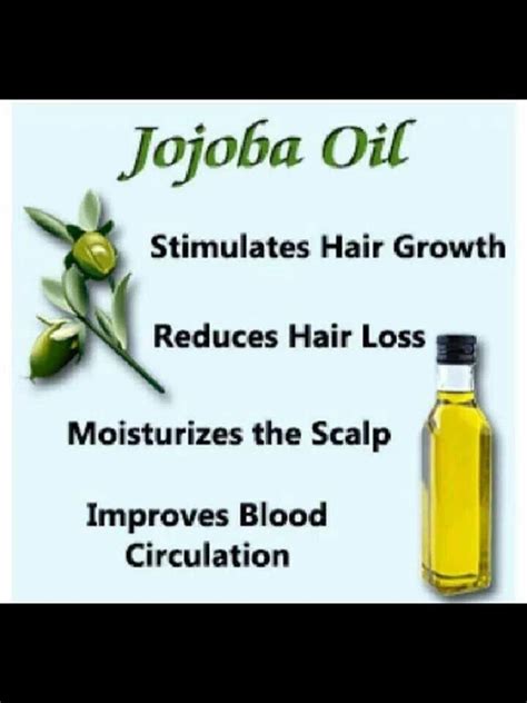 Massage your hair regularly using jojoba oil. Jojoba oil stimulated your growth | Jojoba oil benefits ...