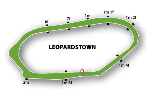 Leopardstown Racecourse August 2021