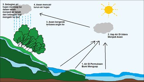Proses terjadinya hujan dimulai dari sinar matahari yang panas menyebabkan adanya proses evaporasi. Pengertian, Macam-macam , Proses, komponen, Siklus ...